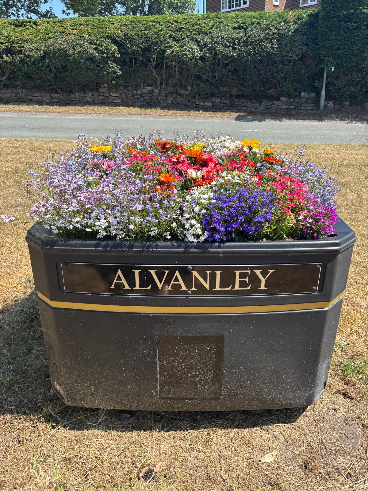 Picture of Flowers in Village Planter